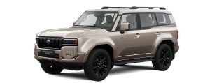 Land Cruiser Prado VX